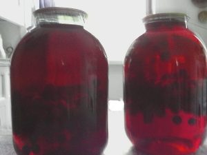 kompot-iz-vishni-na-zimu-bez-sterilizacii